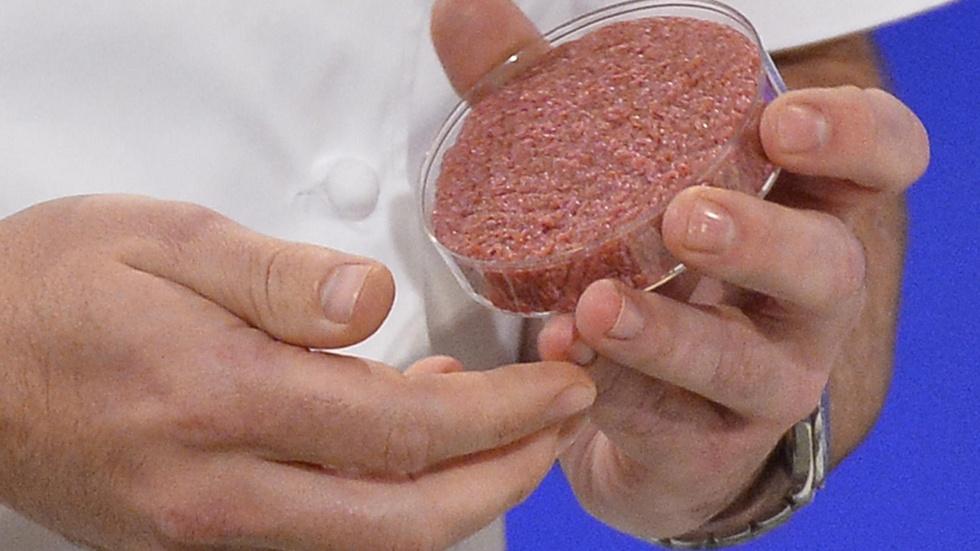 Is it possible to build 'meat' out of plant protein? image