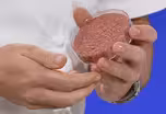 Is it possible to build 'meat' out of plant protein?
