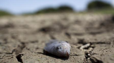 Video thumbnail: PBS NewsHour How Puerto Rico is coping with the worst drought in decades