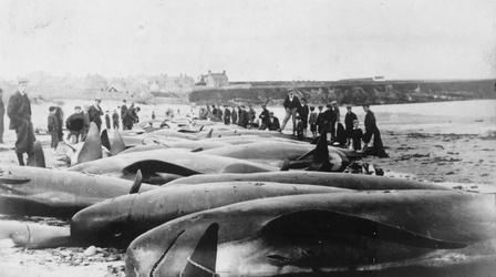 Video thumbnail: PBS NewsHour Remains of 144-year-old whaling shipwreck found near Alaska