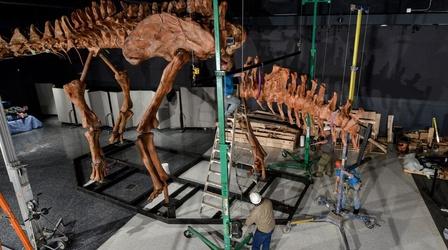 Video thumbnail: PBS NewsHour How the titanosaur discovery exhibits modern paleontology