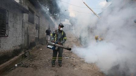 Video thumbnail: PBS NewsHour Mosquito breeding grounds is front line in Zika fight