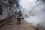 Mosquito breeding grounds is front line in Zika fight