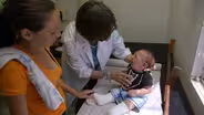 In Brazil, a race to solve the mysteries of Zika virus