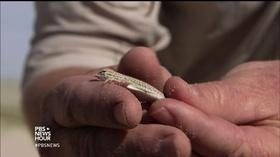 Video thumbnail: PBS NewsHour Balancing conservation and development in Coachella Valley