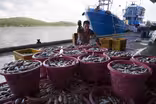How the AP uncovered slavery in the seafood industry
