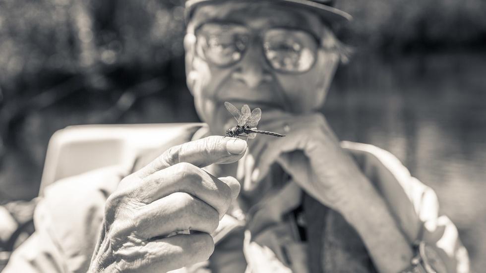 A bold plan to stop life from disappearing from the Earth image
