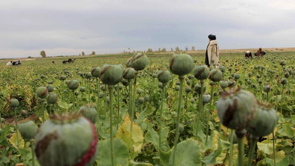 The Taliban resurge in Afghanistan — and ISIS also moves in image