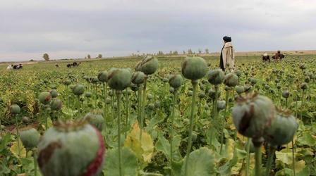 Video thumbnail: PBS NewsHour The Taliban resurge in Afghanistan — and ISIS also moves in