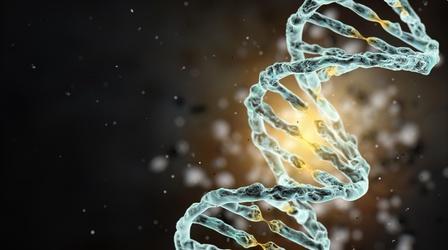 Video thumbnail: PBS NewsHour Our long and winding road to understanding ‘The Gene’
