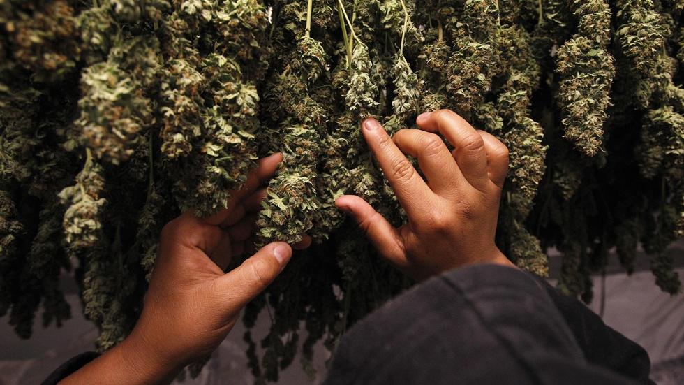 Drug tests present major hurdle for employers image