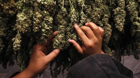 Video thumbnail: PBS NewsHour Drug tests present major hurdle for employers