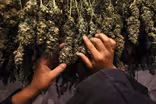 Drug tests present major hurdle for employers