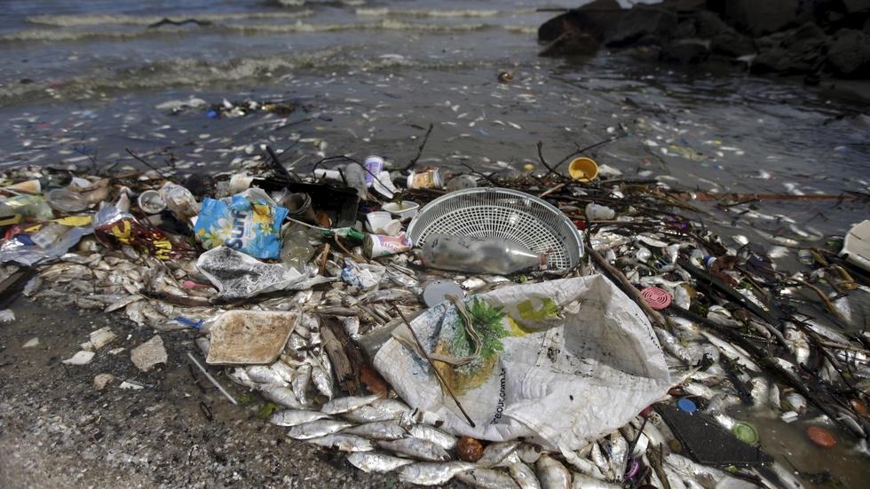 In Brazil's OIympic Bay, death and ecological devastation image
