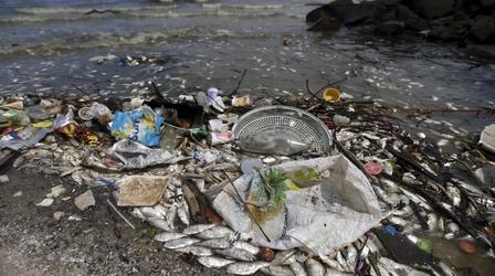 Video thumbnail: PBS NewsHour In Brazil's OIympic Bay, death and ecological devastation
