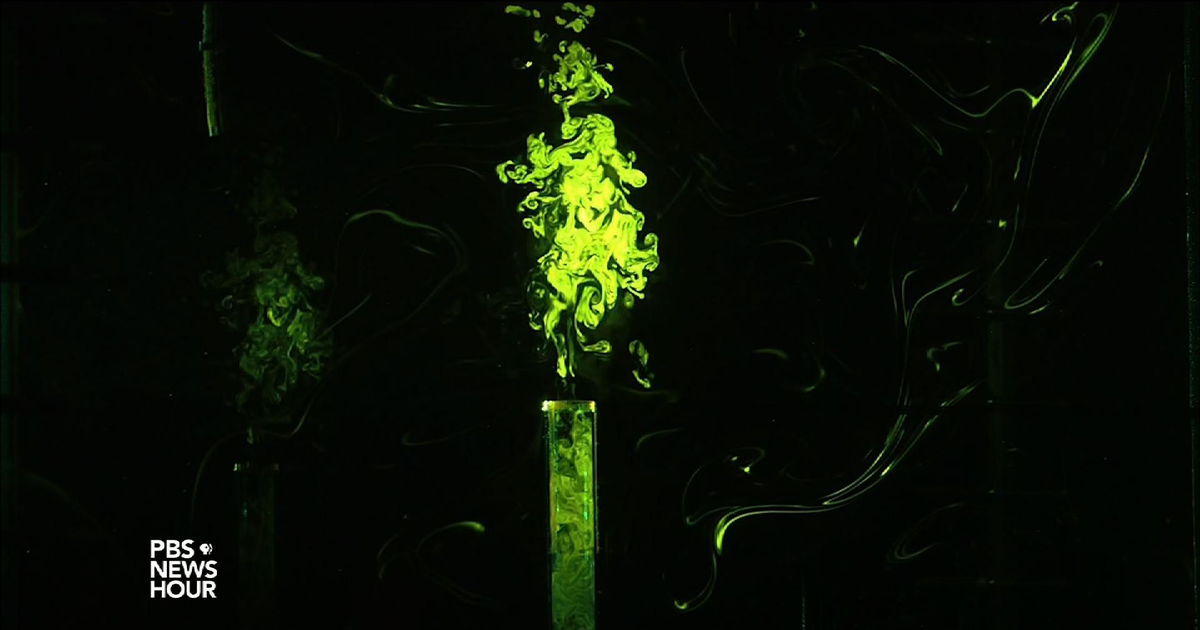 PBS News Hour | Smelling doesn’t just perceive a scent -- it changes it | Season 2016