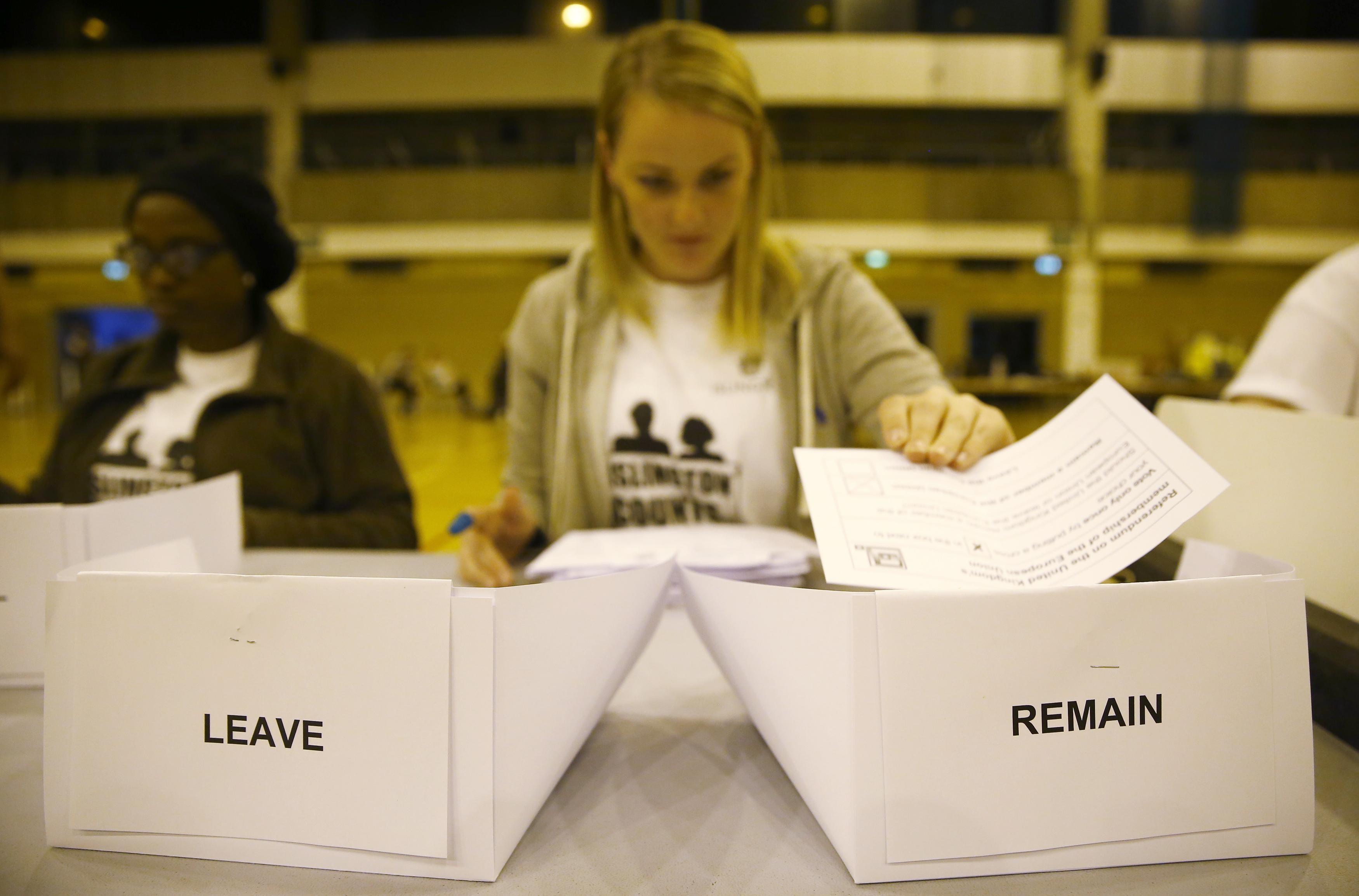 What motivations led British voters to choose Brexit?