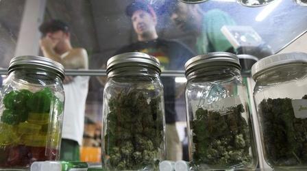 Video thumbnail: PBS NewsHour Patients frustrated by medical marijuana research roadblocks