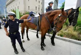 Nice terror attack adds to Cleveland’s security fears