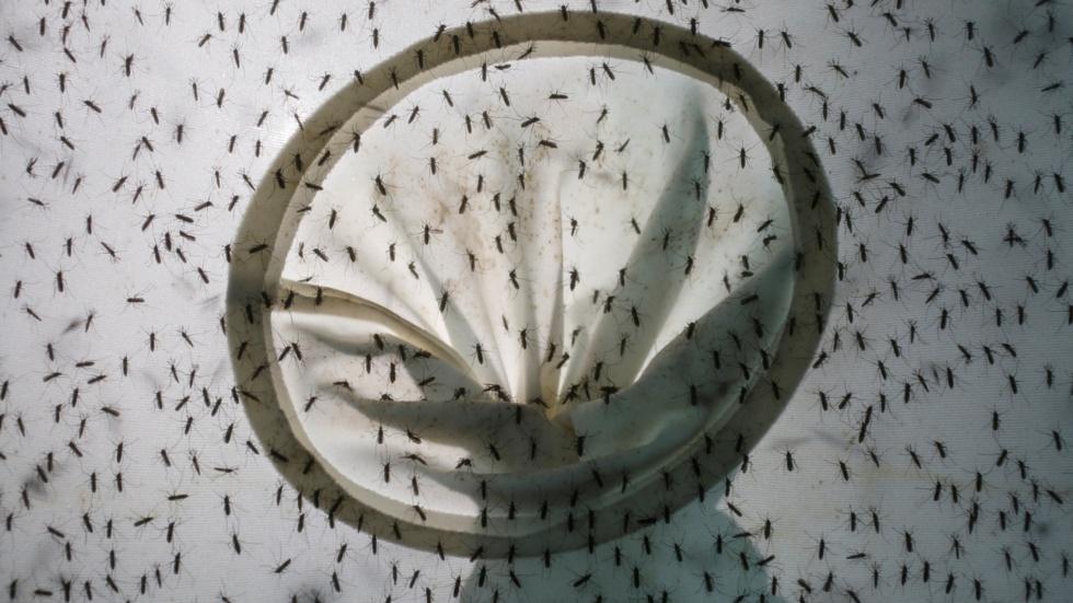 What Miami-Dade County is doing about Zika image
