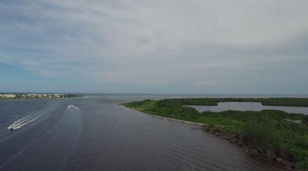 Video thumbnail: PBS NewsHour How septic tanks may imperil this Florida ecosystem