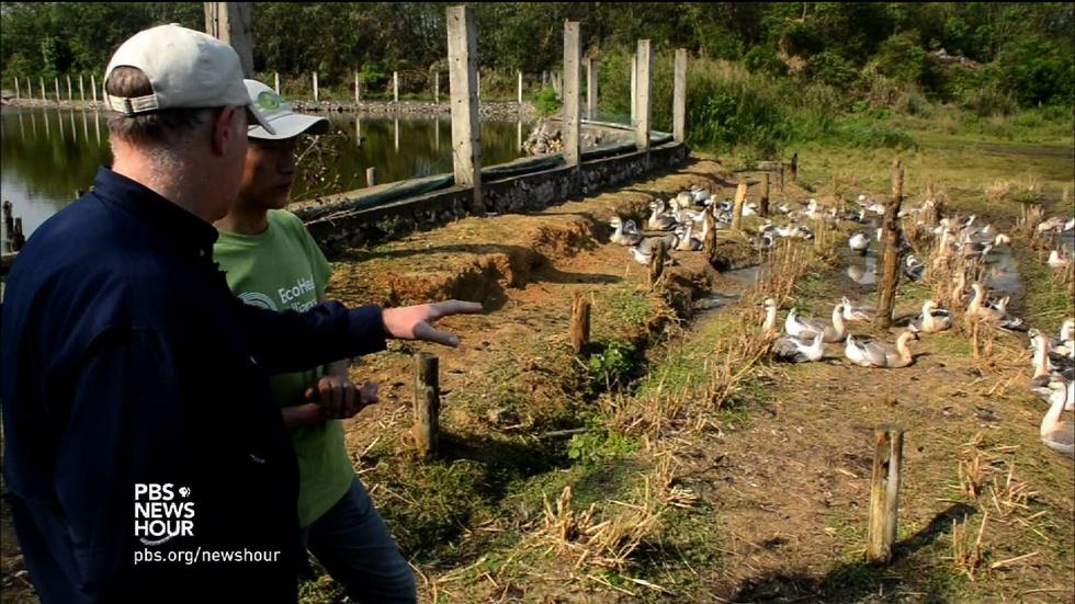 Why southern China is a hotbed for disease development image