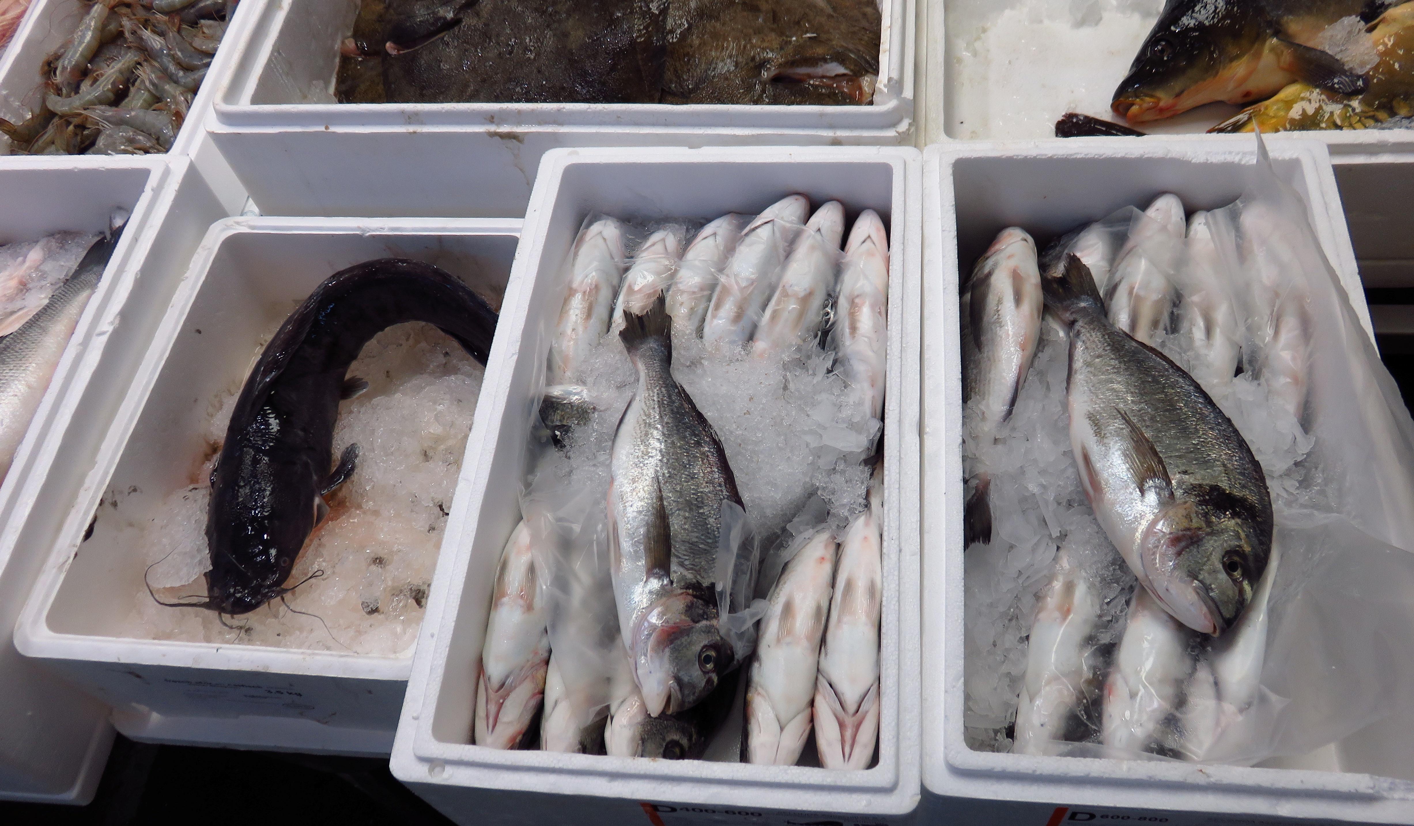 Why Brexit may boost Britain's fishing industry