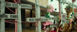 What caused Mexico’s drug war?