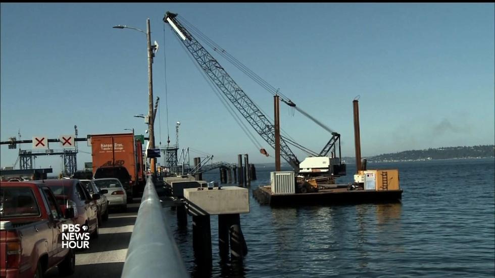 Turning down the volume on noise pollution for marine life image