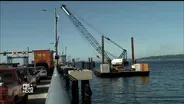 Turning down the volume on noise pollution for marine life