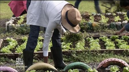 Video thumbnail: PBS NewsHour This university grows environmental entrepreneurs