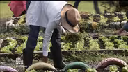 This university grows environmental entrepreneurs