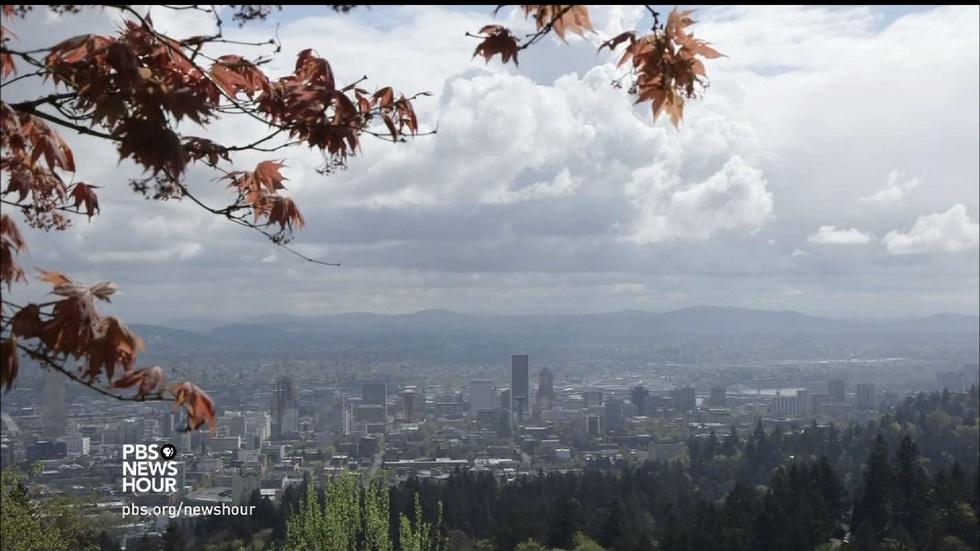 How moss revealed an undetected threat in Portland image