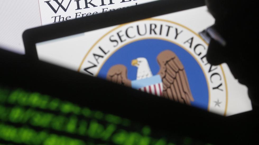 NSA contractor suspected of espionage deemed a flight risk image