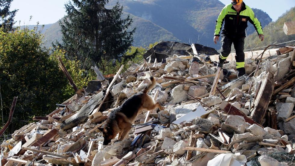 News Wrap: Thousands homeless after Italian earthquakes image