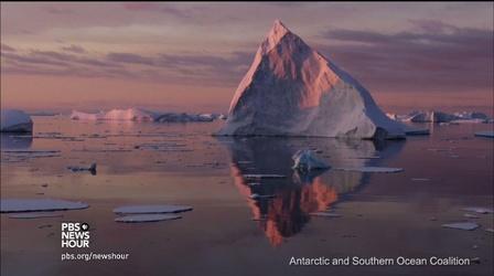Video thumbnail: PBS NewsHour The ocean’s ‘Garden of Eden’ will contain marine reserve
