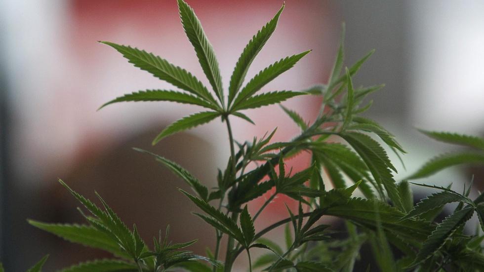 This year’s big ballot initiatives to watch image