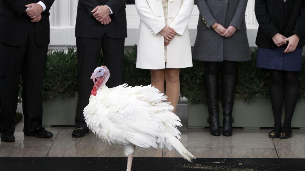 How to keep the peace at your Thanksgiving table image