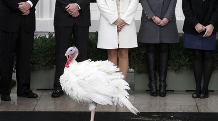Video thumbnail: PBS NewsHour How to keep the peace at your Thanksgiving table