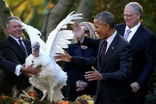 The history of presidential pardons -- for turkeys