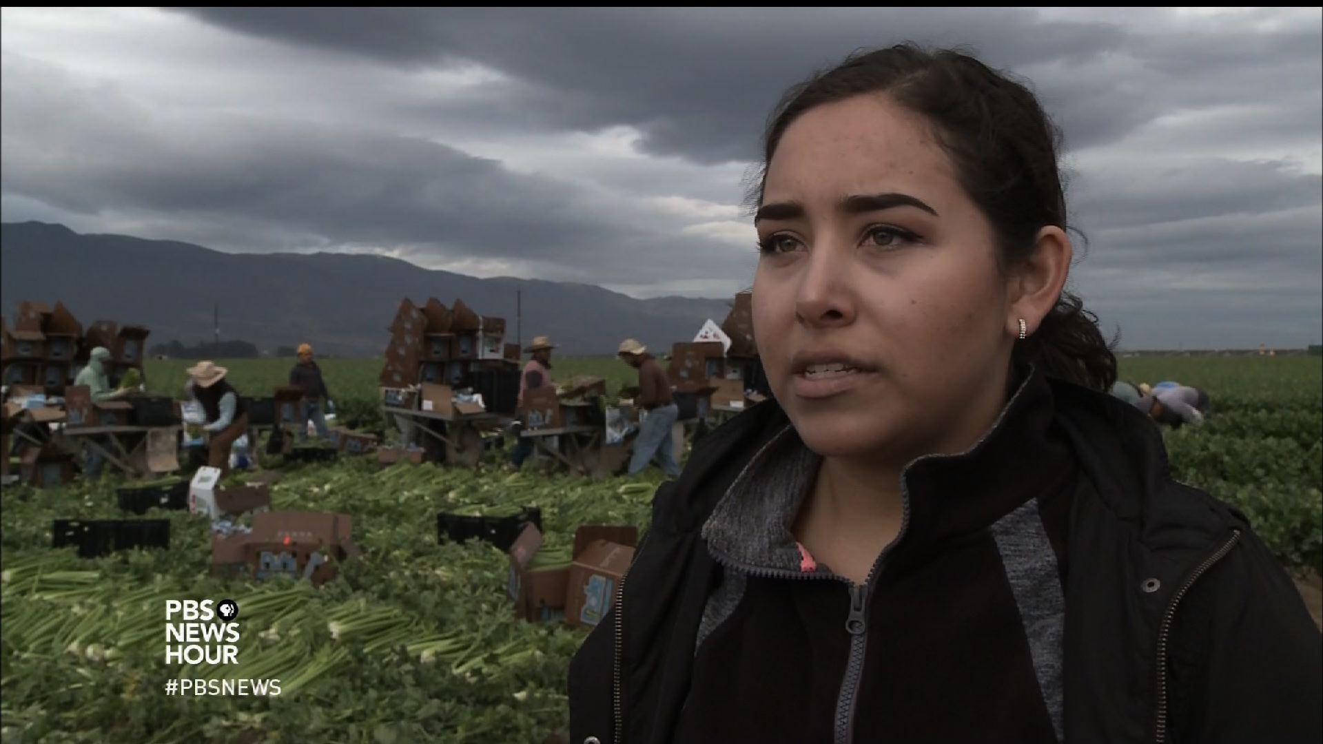 California’s ‘Salad Bowl’ is cultivating more than crops