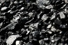 Black lung disease more common among miners than reported