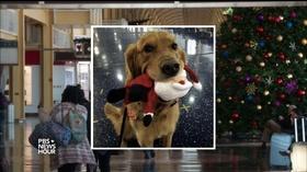 Video thumbnail: PBS NewsHour The one place people ‘like’ the TSA