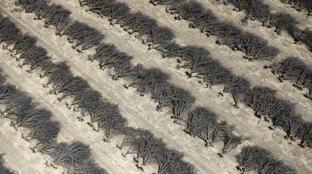 Video thumbnail: PBS NewsHour News Wrap: Global temperatures hit record high in 2016
