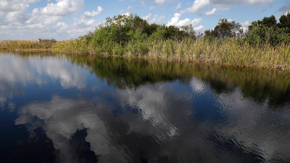 What's stopping the vulnerable Everglades from being healed? image