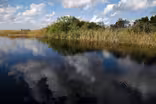 What's stopping the vulnerable Everglades from being healed?