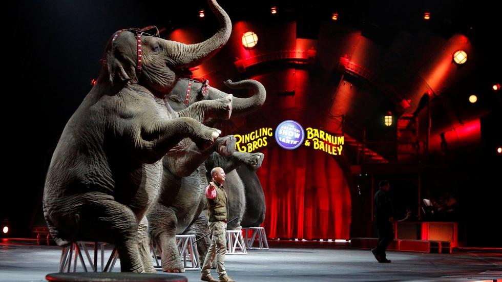Saying farewell to the Ringling Bros. Circus image