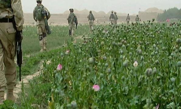 'Raw Opium' Explores Mixed Results of Global Efforts to...
