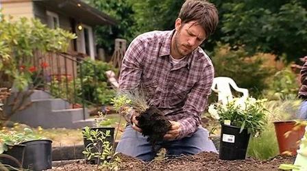 Video thumbnail: PBS NewsHour Seattleites Construct Rain Gardens to Curb Pollution From...