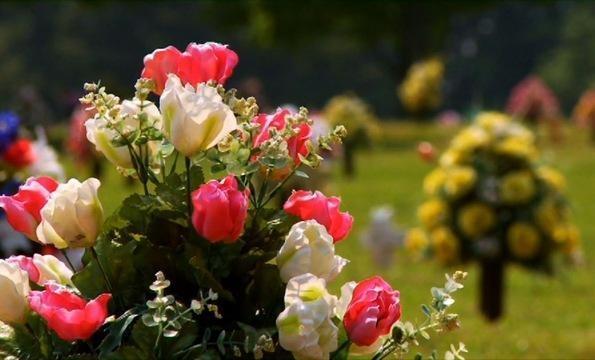"Dying Green" Explores Conservation Through Natural Burial